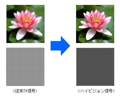 高精細ハイビジョンで観察