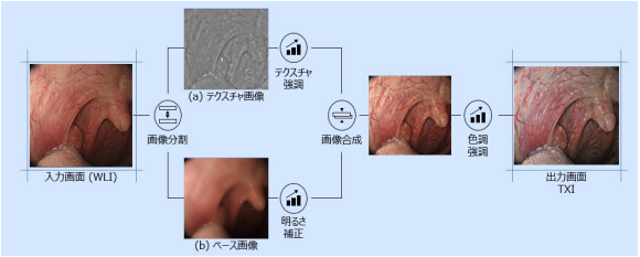 構造色彩強調機能（TXI）