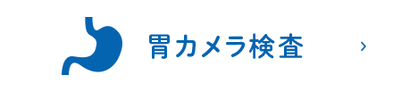 胃カメラ検査（胃内視鏡検査）
