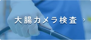 大腸カメラ検査（大腸内視鏡検査）