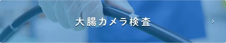 大腸カメラ検査