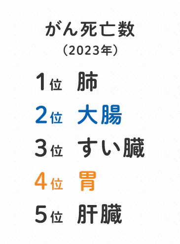 がん死亡数（2023年）1位：肺 2位：大腸 3位：すい臓 4位：胃 5位：肝臓